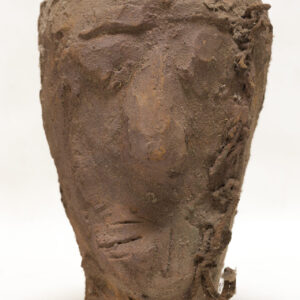 Head of Dust and Wrinkles