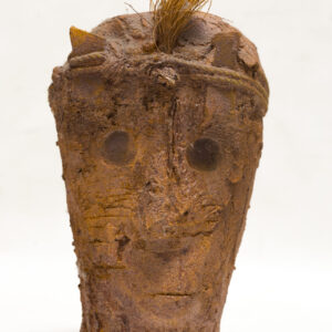 Head with Fragile Crest